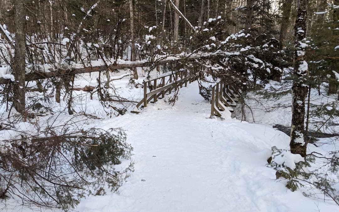 Eben Ice Caves Bridge