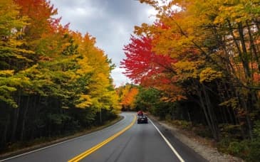 Fall Season