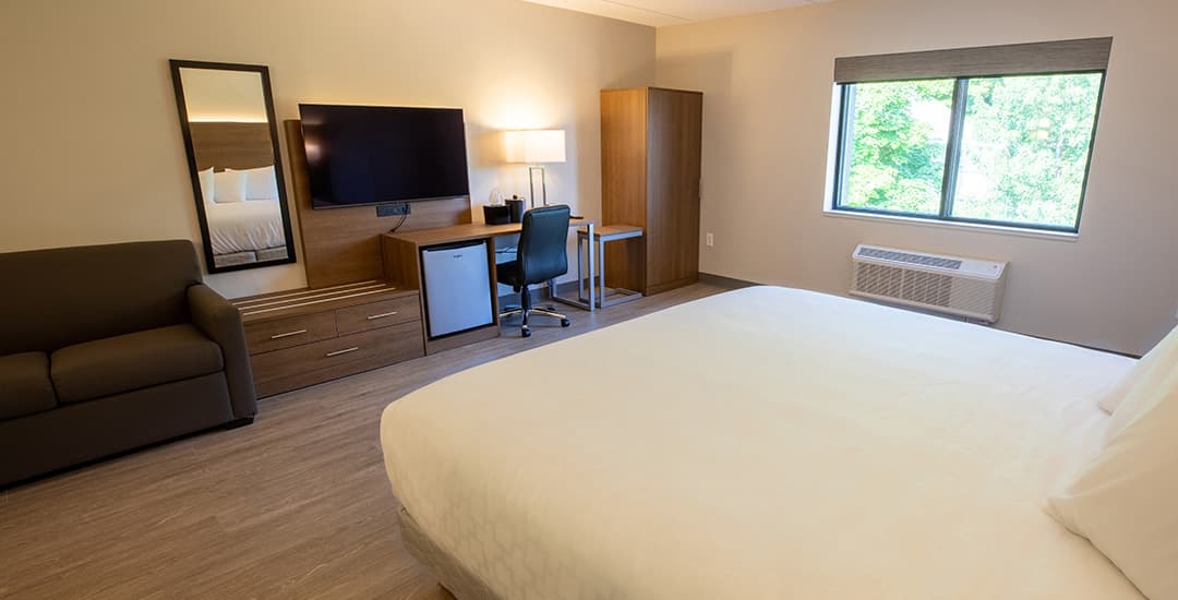 A king bed with a sofa bed and other room amenities