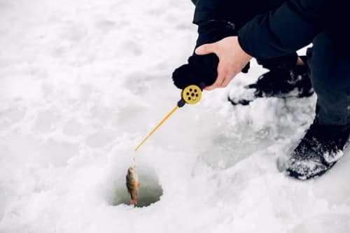 Ice fishing is better than no fishing at all